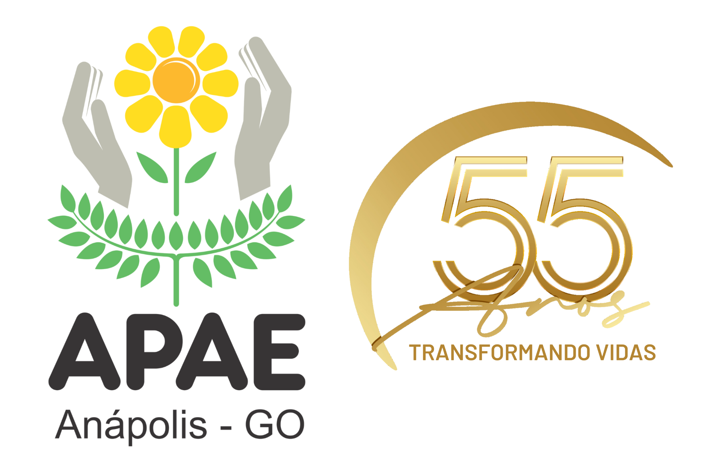 cropped-Logo-apae-e-selo-55-anos.png